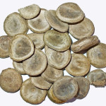 Nux Vomica